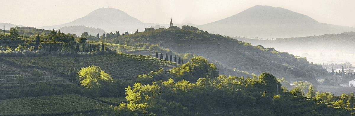 Cielo e Terra Weinberg