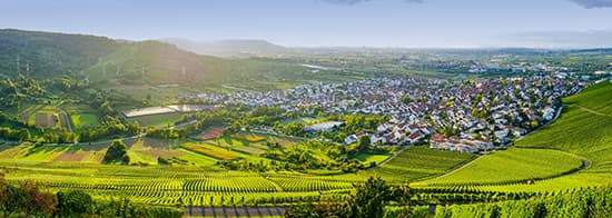 Weitläufige, grüne Landschaft