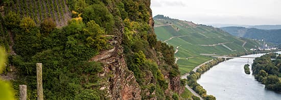 Weingut an einem Abhang, unten ein Fluss