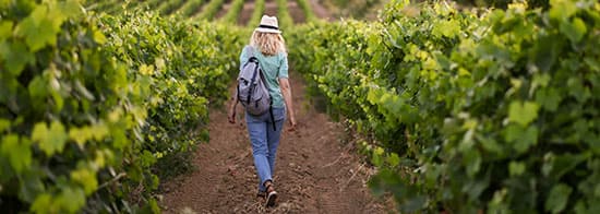 Frau mit Rucksack läuft durch Weinberg