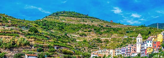 italienische Weinberge, kleine, bunte Häuschen im Vordergrund