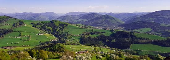 Szenerie in Niederösterreich mit Bergen und grünen Feldern