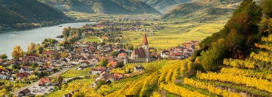 Häuser in Tal an Fluss umgeben von Weinbergen