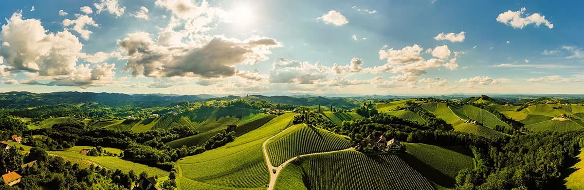 Weinberge in Österreich