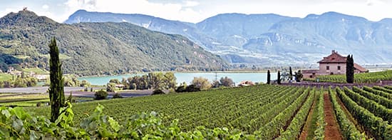 Weingut in Italien mit Fluss und Bergen im Hintergrund