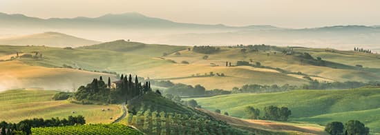 Weinberge in Italien