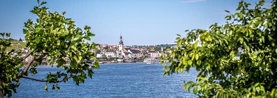 Foto vom Rheingau. Im Vordergrund ein Fluss und im Hintergrund eine Ort mit Kirche