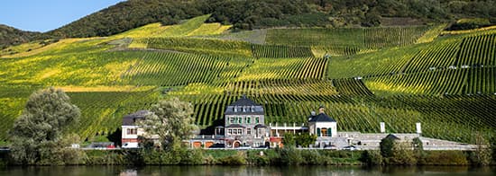 Foto eines Weingut. Im Hintergrund Weinberge, im Vordergrund ein Fluss