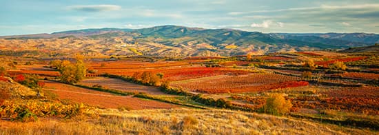 Rioja in herbstlichen Farben