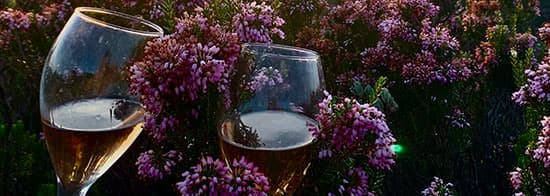 Zwei Gläaser mit Roséweine zwischen Blumen 