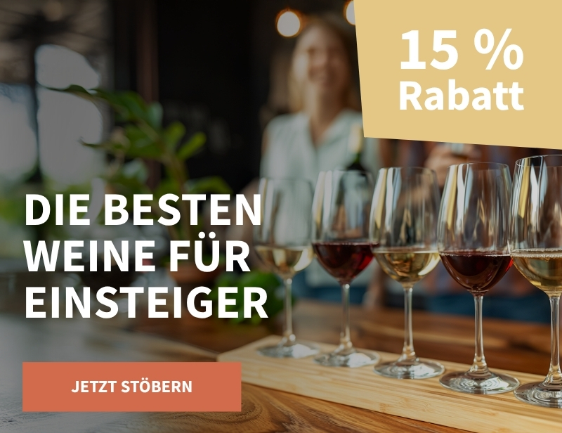 Top5-Einsteiger_Gutscheine-LP