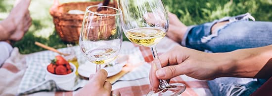 Pärchen mit Weißwein liegen auf Picknickdecke