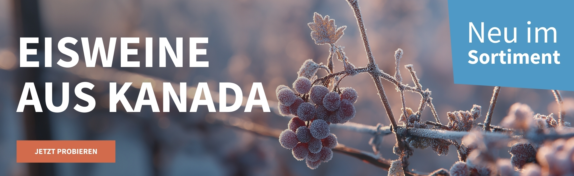 Meravino Weinaktion mit dem Slogan "Eisweine aus Kanada". Im Hintergrund gefrorene Trauben. Hinweis auf "Neu im Sortiment". Unten Button "Jetzt probieren".