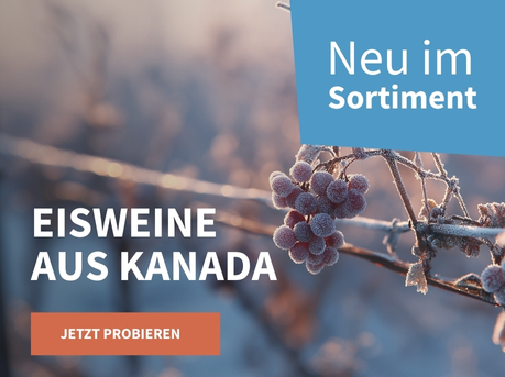 Meravino Weinaktion mit dem Slogan "Eisweine aus Kanada". Im Hintergrund gefrorene Trauben. Hinweis auf "Neu im Sortiment". Unten Button "Jetzt probieren".
