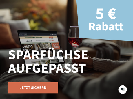 Meravino Weinaktion mit dem Slogan "Sparfüchse aufgepasst". Im Hintergrund eine Couch, ein Laptop und ein Glas Rotwein. Hinweis auf "5 € Rabatt". Unten Button "Jetzt sichern". | KI-generiert