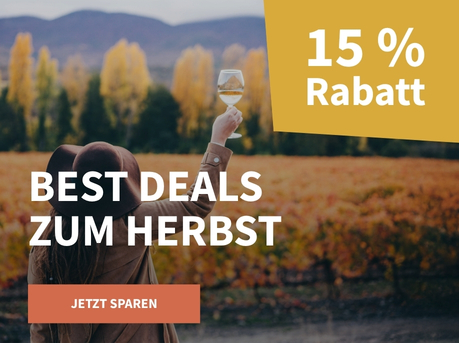 Meravino Weinaktion mit dem Slogan "Best Deals zum Herbst". Im Hintergrund bunte Felder, davor mittig eine Frau, die in der Hand ein Weißweinglas hält und von hinten zu sehen ist. Hinweis auf "15 % Rabatt". Unten Button "Jetzt sparen". | KI-generiert