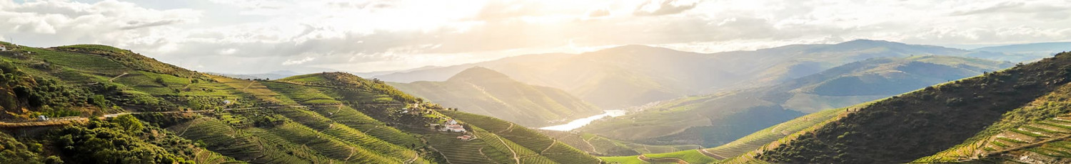 Douro Tal