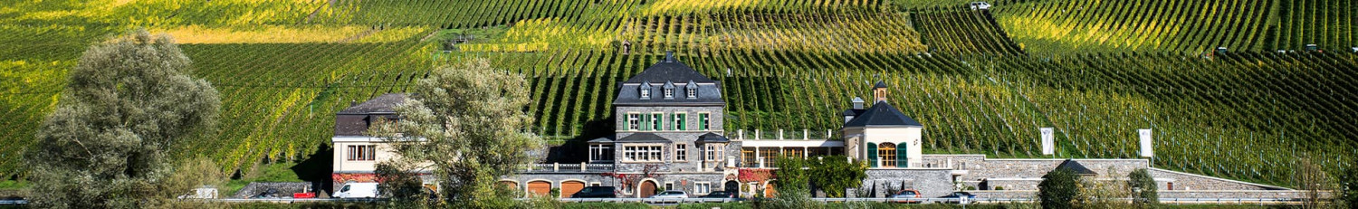 Weingut Dr. Loosen Weine