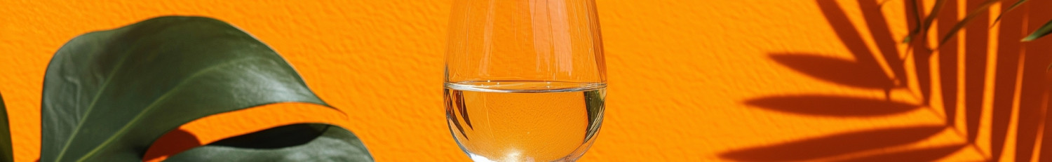 Weinangebot