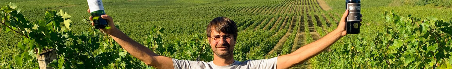 Vignobles Ducourt