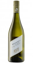 Pfaffl Grüner Veltliner Signature 2022