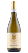Terra Cuore Verdicchio dei Castelli di Jesi Classico Superiore 2025 | KI-generiert