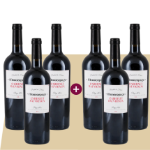 3+3 Monocepage Cabernet Sauvignon 2021