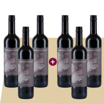 3+3 Parcelas ecologico Monastrell 2021