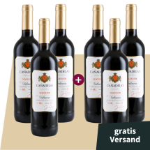 3+3 Hero-Deal Cañadelas Selección Tinto 2021 + versandkostenfrei (D)