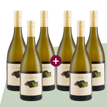 3+3 Ocarito Sauvignon Blanc 2023