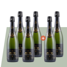 4+2 Bouvet-Ladubay Notre Meilleure Sélection Blanc de Blanc Brut | KI-generiert