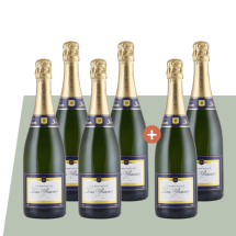 4+2 Champagne Louis Bouvier Brut | KI-generiert