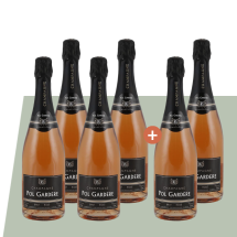 4+2 Pol Gardere Champagne Brut Rosé | KI-generiert