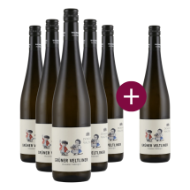 5+1 Domäne Wachau Grüner Veltliner Federspiel Dürnstein 2024