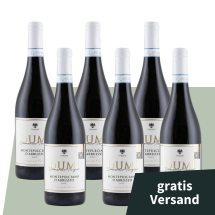 6 Flaschen Hero Deal Cantine Terzini Dumì Montepulciano d’Abruzzo 2022 + versandkostenfrei (D)