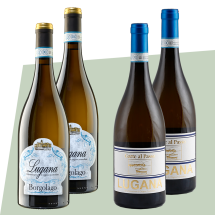 Lugana-Weißweinpaket