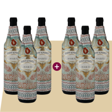 Avvolto Zinfandel 2024