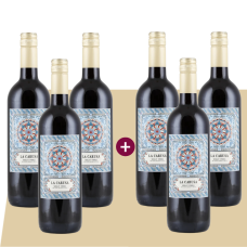 La Carusa Merlot Umbria 2024