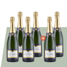 4+2 Champagne Louis Bouvier Brut | KI-generiert