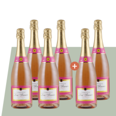 4+2 Champagne Louis Bouvier Brut Rosé | KI-generiert