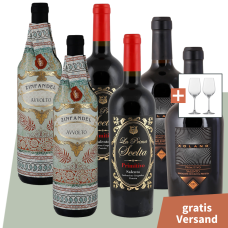 Focus Primitivo Deal