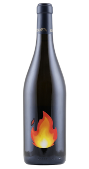 Planeta Chardonnay 2024 | KI-generiert