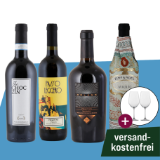 Primitivo-Rotweinpaket