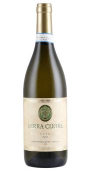 Terra Cuore Soave Classico 2024