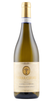 Terra Cuore Verdicchio dei Castelli di Jesi Classico Superiore 2025 | KI-generiert