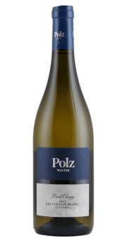 Walter Polz Ried Obegg Sauvignon Blanc 2022
