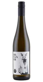 Street Cat Silvaner 2024
