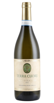 Terra Cuore Soave Classico 2025 | KI-generiert