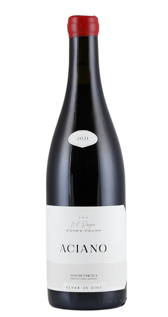Alvar de Dios Aciano El Pego 2021