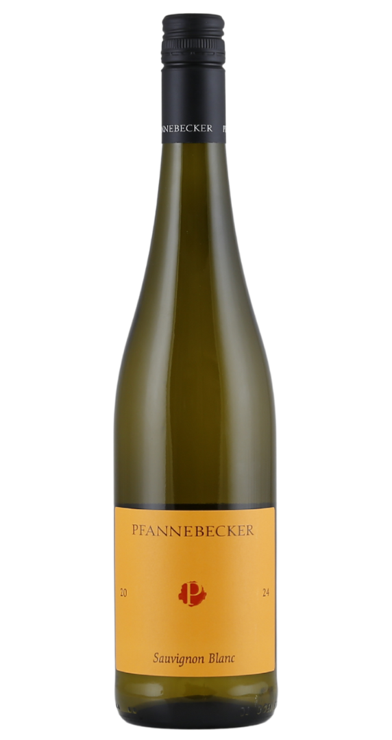 Pfannebecker Sauvignon Blanc 2025
